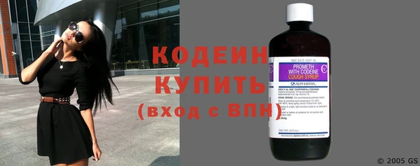 соль ск Белокуриха