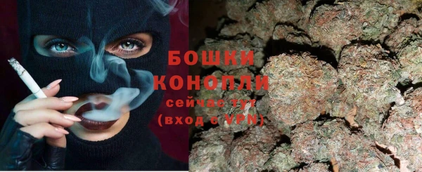 соль ск Белокуриха