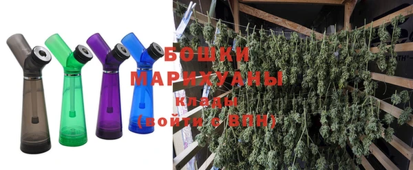 соль ск Белокуриха