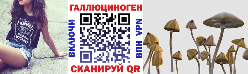 Галлюциногенные грибы ЛСД  где купить наркоту  Шагонар 